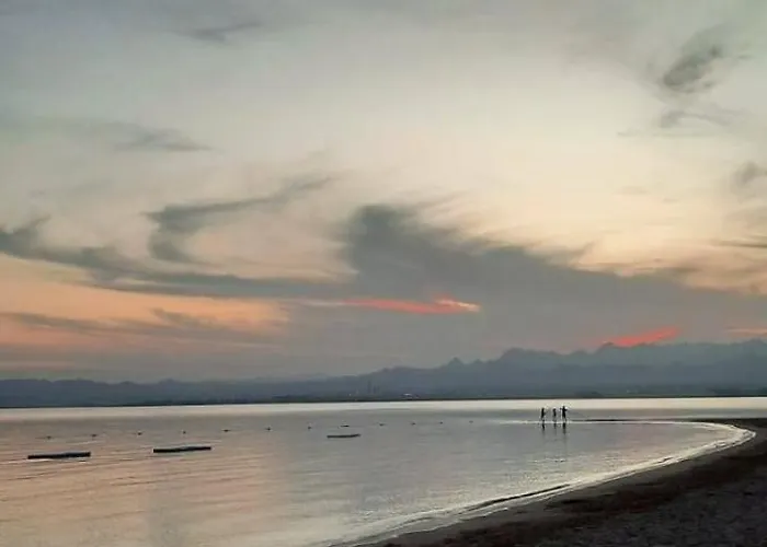 Bay Breeze